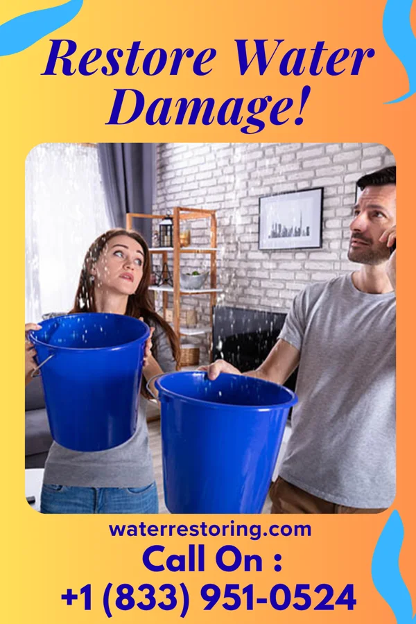 water restoration Eco Water Restoration Contractors Wheaton